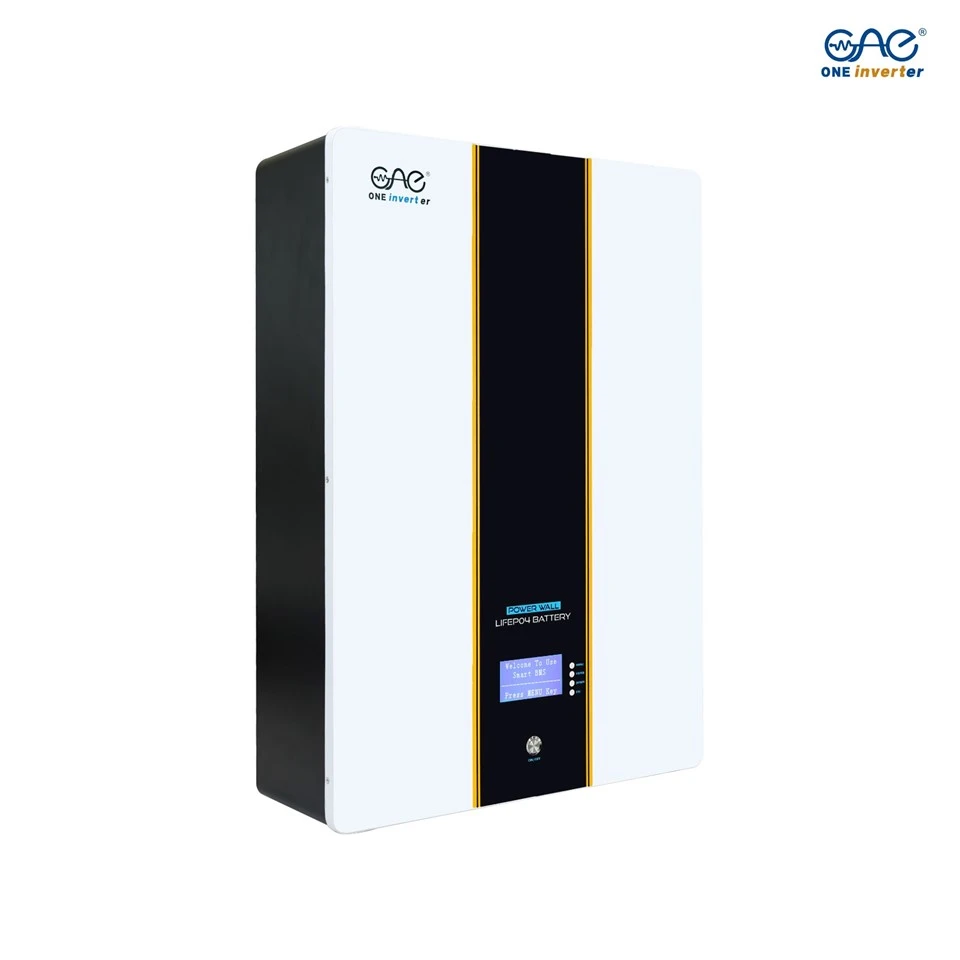 100AH 5KWH 51.2V Battery